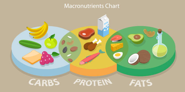 Macronutrients guide